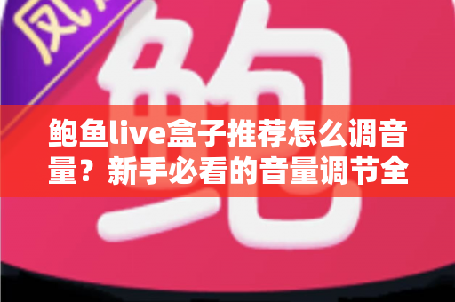 鲍鱼live盒子推荐怎么调音量?新手必看的音量调节全攻略与实用设置技巧 鲍鱼live盒子推荐怎么调音量?新手必看的音量调节全攻略与实用设置技巧