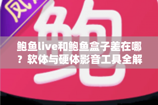 鲍鱼live和鲍鱼盒子差在哪？软体与硬体影音工具全解析，一篇看懂差异、优缺点与选购建议