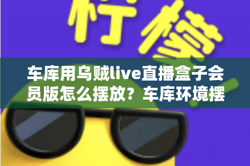 车库用乌贼live直播盒子会员版怎么摆放？车库环境摆放全攻略与实用技巧一文学会