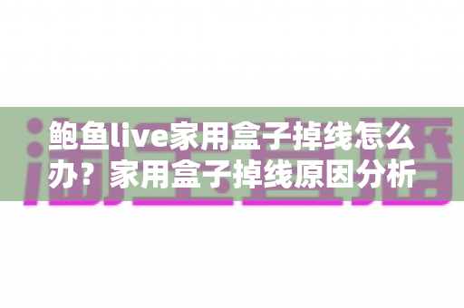 鲍鱼live家用盒子掉线怎么办？家用盒子掉线原因分析与解决方法完全指南