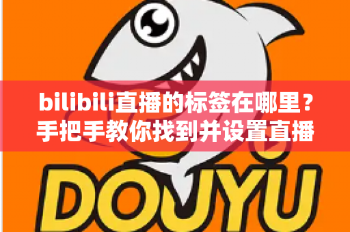 bilibili直播的标签在哪里？手把手教你找到并设置直播标签的完整指南