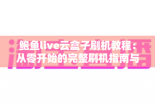 鲍鱼live云盒子刷机教程：从零开始的完整刷机指南与避坑手册
