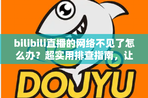 bilibili直播的网络不见了怎么办？超实用排查指南，让你秒速恢复追播与开播体验