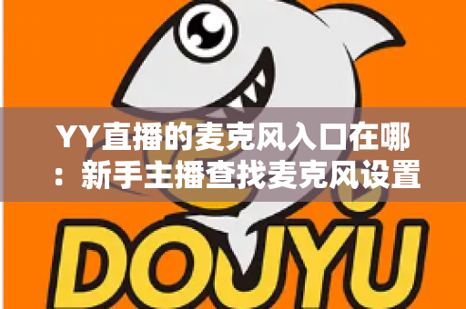 YY直播的麦克风入口在哪：新手主播查找麦克风设置的完整指南