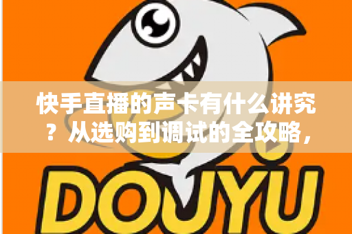快手直播的声卡有什么讲究？从选购到调试的全攻略，助你打造高清直播间音质