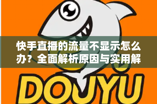 快手直播的流量不显示怎么办?全面解析原因与实用解决方案 快手直播的流量不显示怎么办?全面解析原因与实用解决方案