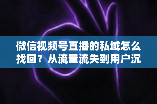 微信视频号直播的私域怎么找回?从流量流失到用户沉淀的全链路解决方案 微信视频号直播的私域怎么找回?从流量流失到用户沉淀的全链路解决方案