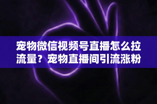 宠物微信视频号直播怎么拉流量?宠物直播间引流涨粉与运营变现全攻略 宠物微信视频号直播怎么拉流量?宠物直播间引流涨粉与运营变现全攻略
