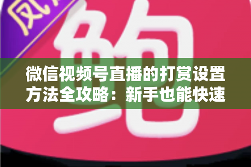 微信视频号直播的打赏设置方法全攻略：新手也能快速开启直播变现之路