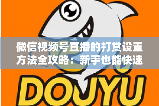 微信视频号直播的打赏设置方法全攻略：新手也能快速开启直播变现之路