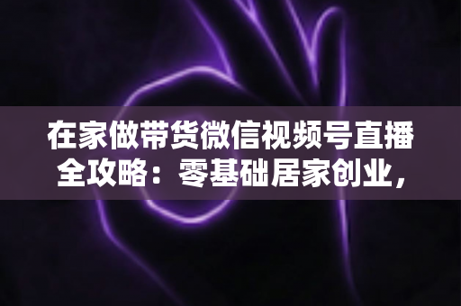 在家做带货微信视频号直播全攻略：零基础居家创业，一部手机开启副业变现之路