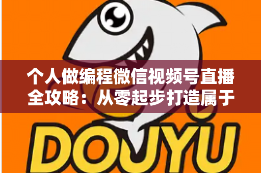 个人做编程微信视频号直播全攻略：从零起步打造属于你的技术影响力与变现之路