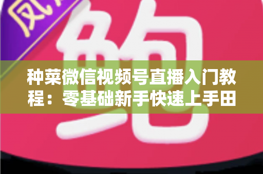 种菜微信视频号直播入门教程:零基础新手快速上手田园直播的完整指南 种菜微信视频号直播入门教程:零基础新手快速上手田园直播的完整指南