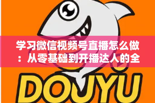 学习微信视频号直播怎么做:从零基础到开播达人的全流程实战指南 学习微信视频号直播怎么做:从零基础到开播达人的全流程实战指南