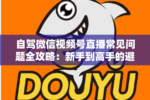 自驾微信视频号直播常见问题全攻略：新手到高手的避坑与涨粉实战指南