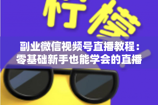 副业微信视频号直播教程：零基础新手也能学会的直播变现实战指南