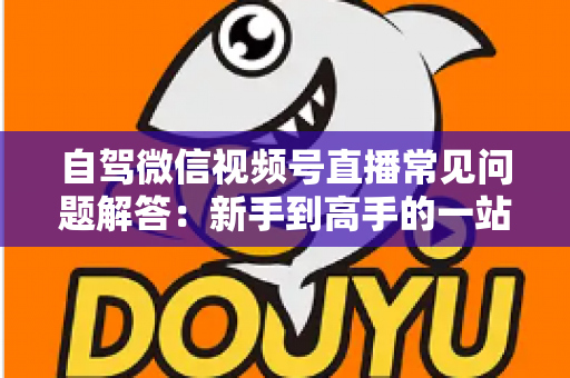 自驾微信视频号直播常见问题解答：新手到高手的一站式实战指南