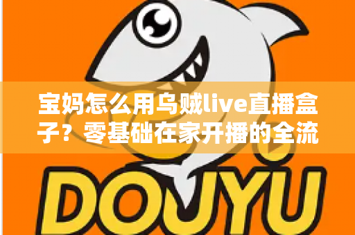 宝妈怎么用乌贼live直播盒子？零基础在家开播的全流程实用指南