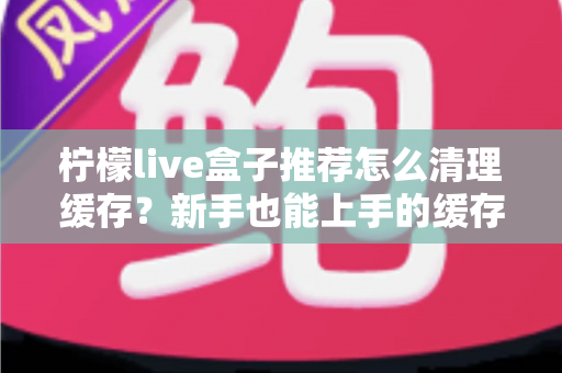 柠檬live盒子推荐怎么清理缓存？新手也能上手的缓存清理全攻略