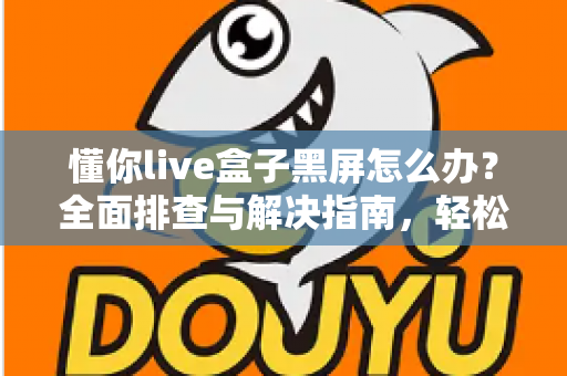 懂你live盒子黑屏怎么办？全面排查与解决指南，轻松恢复精彩画面