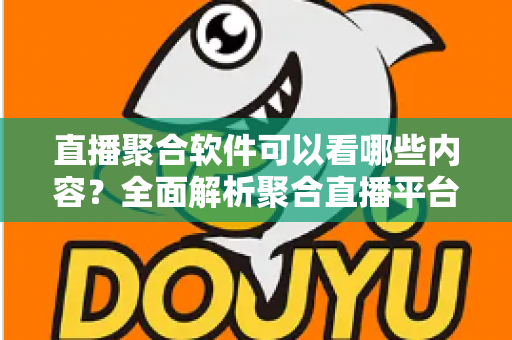 直播聚合软件可以看哪些内容？全面解析聚合直播平台的丰富观看资源与实用指南