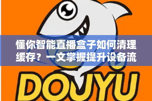 懂你智能直播盒子如何清理缓存？一文掌握提升设备流畅度的实用技巧