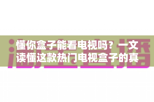 懂你盒子能看电视吗?一文读懂这款热门电视盒子的真实观看体验与使用攻略 懂你盒子能看电视吗?一文读懂这款热门电视盒子的真实观看体验与使用攻略