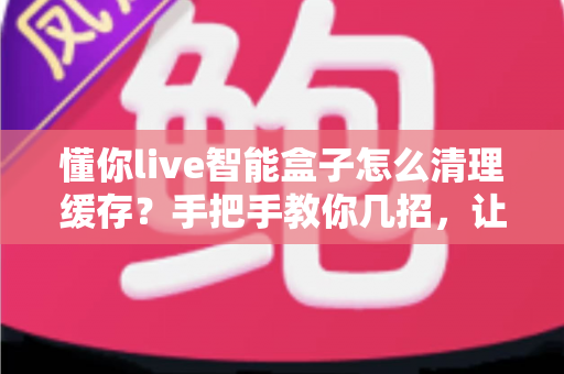 懂你live智能盒子怎么清理缓存？手把手教你几招，让盒子重回流畅状态