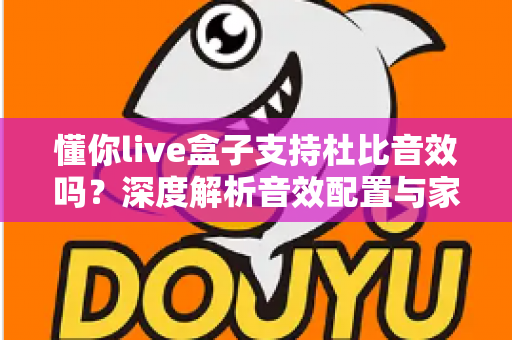 懂你live盒子支持杜比音效吗？深度解析音效配置与家庭影音体验优化指南