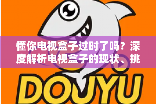 懂你电视盒子过时了吗？深度解析电视盒子的现状、挑战与未来价值